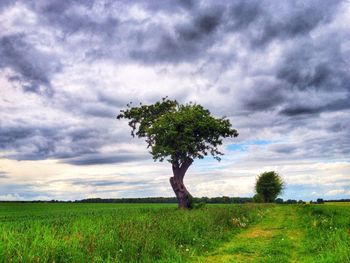 Scenic view of grassy field against cloudy sky