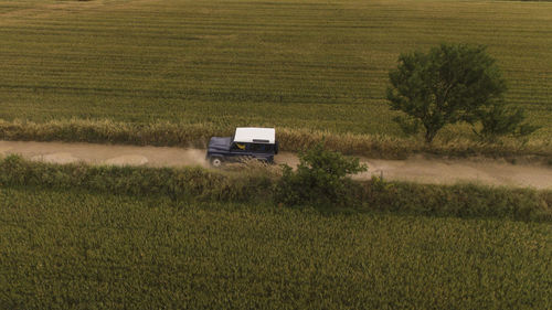 Scenic view of agricultural field