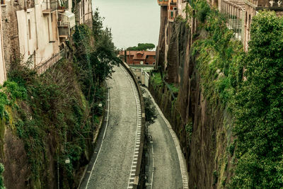 Railroad tracks amidst trees and buildings in city