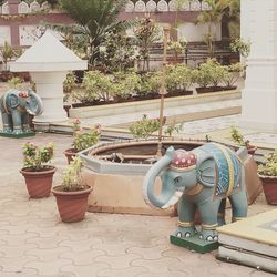 Potted plants outside building