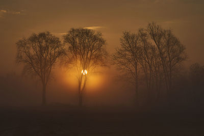 Silhouette bare trees against sky during sunset