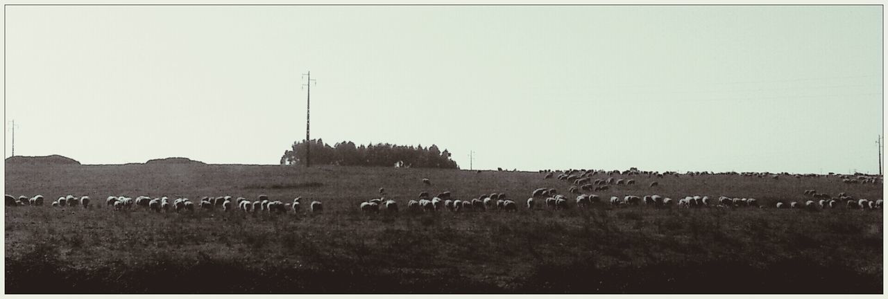 Alentejo