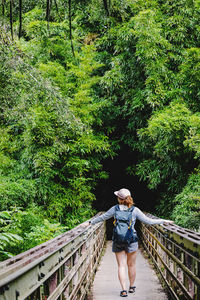 Woman with a backpack standing on the bridge, entering the bamboo forest, view from the back