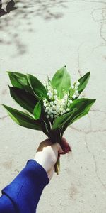 Close-up of hand holding flower bouquet