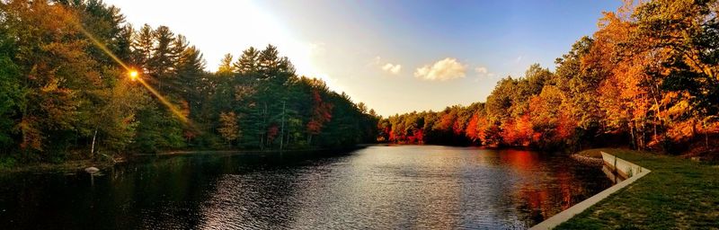 River amidst trees against sky