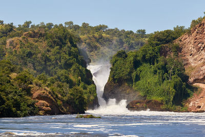 The waterfall of murchison falls national park