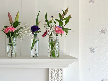 Potted colorful plants in front of white wall