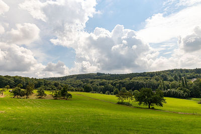 Trees on field against sky