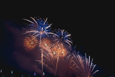 Low angle view of firework display at night