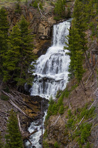 Scenic view of waterfall in forest