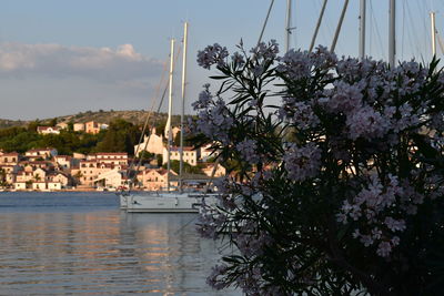 Scenic view of river by buildings against sky