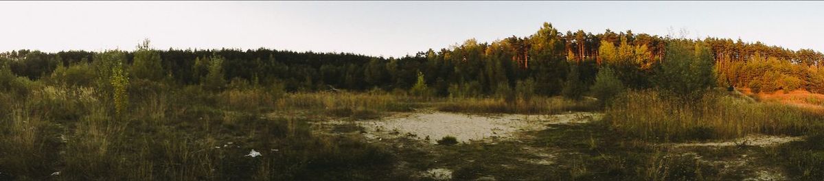 Scenic view of landscape