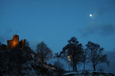 Low angle view of silhouette trees against sky at night