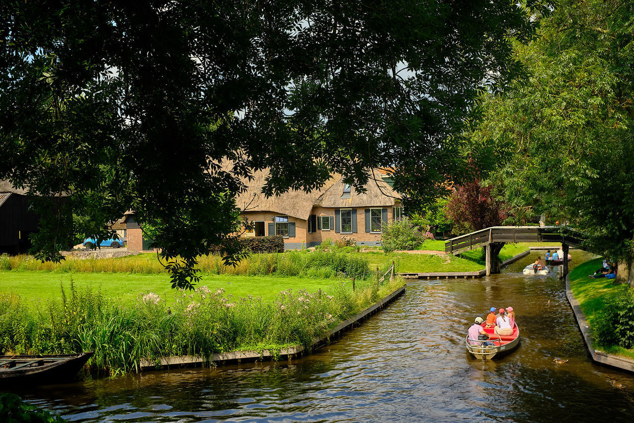 SCENIC VIEW OF RIVER BY TREES AND BUILDING