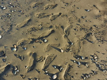 High angle view of footprints on wet sand