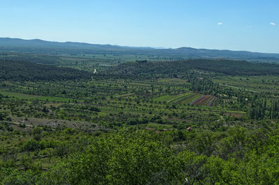 Scenic view of agricultural field against sky