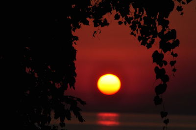 Silhouette tree against sky during sunset