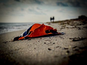 Surface level of beach