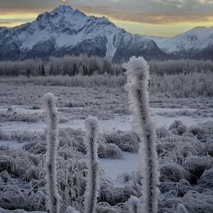 snow