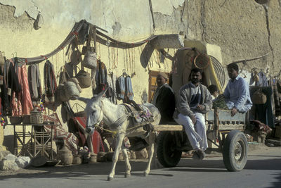 Rear view of people walking on street