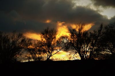 Silhouette trees against dramatic sky during sunset