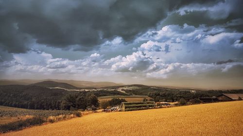 Scenic view of agricultural field against sky