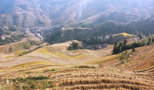 Aerial view of agricultural field