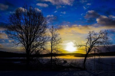 Bare trees against sky at sunset