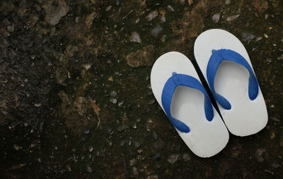 Blue slippers sandals beach shoes isolated on a ground background