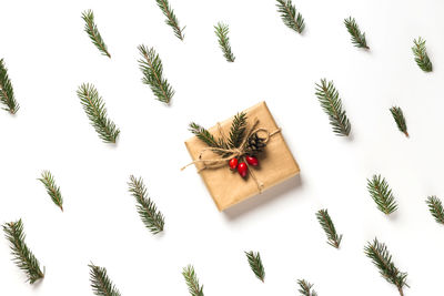 High angle view of christmas tree against white background