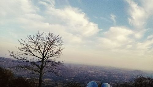 Bare tree on landscape against sky