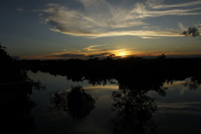 Silhouette of trees at sunset