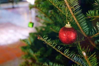 Close-up of christmas bauble hanging on tree