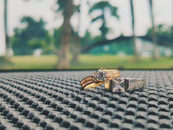 Close-up of snail on table