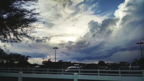 Trees against cloudy sky