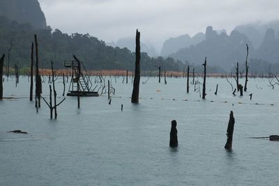 Scenic view of wooden posts in mountains against sky