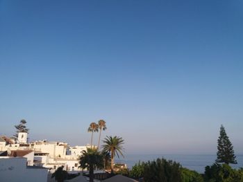 Palm trees by sea against clear blue sky