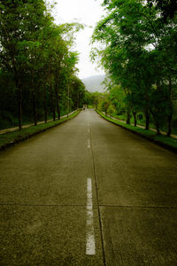 Empty road along trees