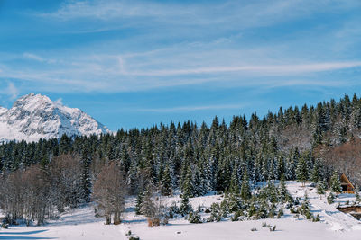 Panoramic view of snow covered mountains against sky