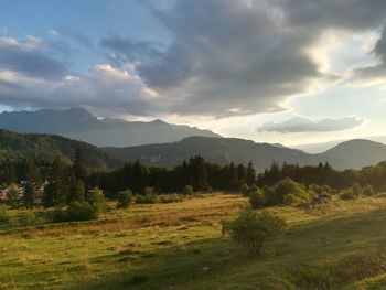 Scenic view of field against sky