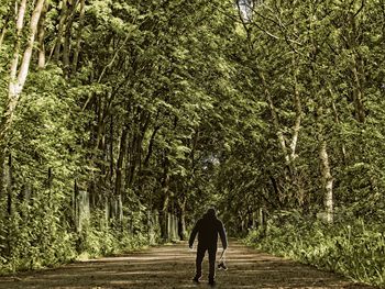 Rear view of man walking on footpath in forest