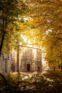 Low angle view of trees and building during autumn