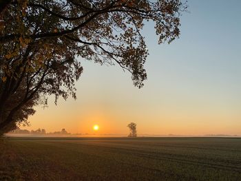 Scenic view of field against sky during sunset