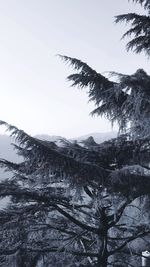 Scenic view of snow covered mountain against sky