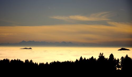 Scenic view of silhouette forest against orange sky