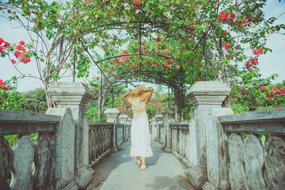 Rear view of woman standing by plants