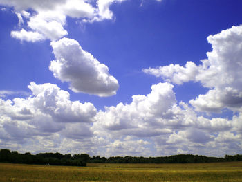 Scenic view of field against sky