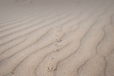 Full frame shot of sand