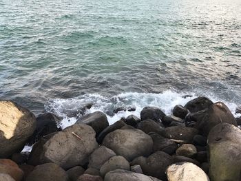Low section of person on beach