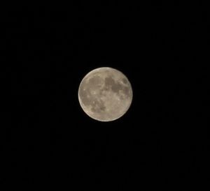 Low angle view of moon in sky